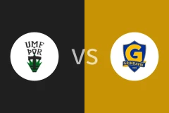 托尔vs格林达维克比分预测分析 2025/12/19