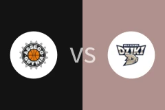 阿尔卡格丁尼亚vs华斯基比分预测分析 2025/11/04