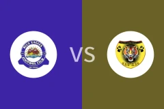 蓝鹰vs猛虎比分预测分析 2025/12/24