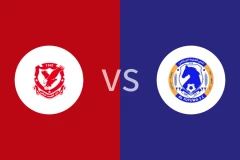 哈马先锋vs福图瓦比分预测分析 2025/12/19