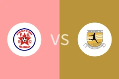 非洲星队vs奥卡汉加联合FC比分预测分析 2025/11/30