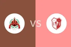 阿尔赖扬vs夏马尔比分预测分析 2025/10/31