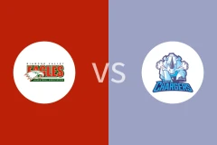 钻石谷鹰vs霍巴特电光比分预测分析 2025/07/13