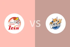 电装小仙女女篮vs东京羽田酷猫女篮比分预测分析 2025/11/01