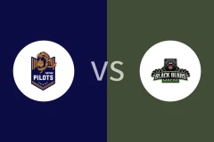 桃园领航猿vs澳门黑熊回放录像 2025/12/14