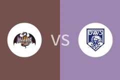 山形飞龙vs福井吹风比分预测分析 2025/11/16