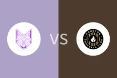 丘陵狼vs休斯敦比分预测分析 2025/07/03