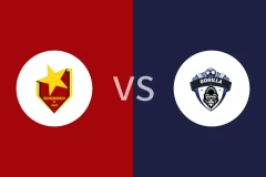 艾尔马里克vs大猩猩FC比分预测分析 2025/12/01