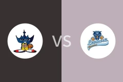 斯拉沃热vs霍穆托夫猎豹比分预测分析 2025/12/20