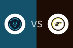 维也纳森林狼vs延纳斯多夫比分预测分析 2025/11/01