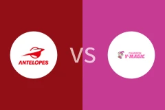 丰田羚羊女篮vs香颂魔术女篮比分预测分析 2025/12/27