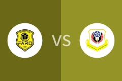 法德vs尼洛耶扎米尼比分预测分析 2025/11/28