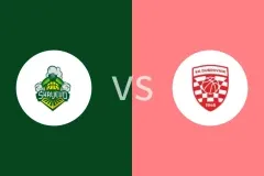 斯克耶沃vs杜布罗尼克比分预测分析 2025/12/18