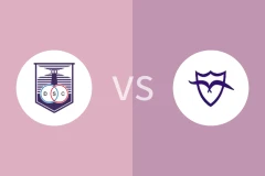 德丰索体育vs马尔文比分预测分析 2025/11/05