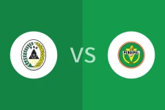 斯莱曼vs波斯帕尔比分预测分析 2025/12/28