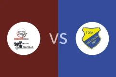 维丹vs韦特申比分预测分析 2025/11/02