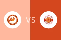 河南vs河北回放录像 2025/06/15