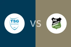 斯罗可候沃vsSG芬纳图普巴门诺尔比分预测分析 2025/11/02