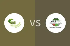 俄斯特拉发女篮vs索斯诺维茨女篮比分预测分析 2025/10/30