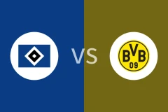 汉堡vs多特蒙德回放录像 2025/11/08