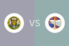 达米萨vs科托努自治港体育协会FC比分预测分析 2025/12/21