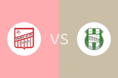 阿华利古奇vs库科切梅切比分预测分析 2025/05/19