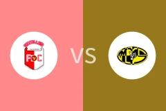 艾丁切尔斯vs穆库尔胜利体育比分预测分析 2025/11/28