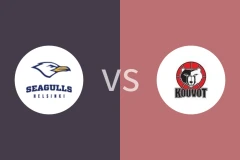 赫尔辛基海鸥vs科沃特比分预测分析 2025/12/17