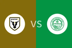 麦克阿瑟FCvs大埔回放录像 2025/11/27