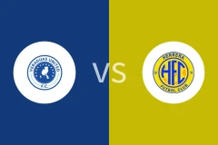 维拉加斯FCvs埃雷拉足球俱乐部比分预测分析 2025/07/19