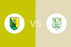 比比亚尼金星vs加纳梦想FC比分预测分析 2025/12/28