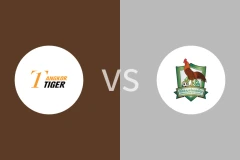 安格科尔老虎FCvs基里翁索森梅比分预测分析 2025/12/28