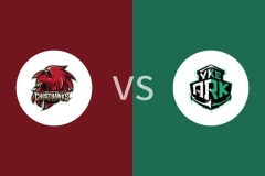 台钢猎鹰vs洋基工程职业篮球队比分预测分析 2025/12/20