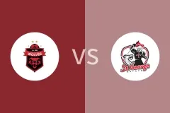 卧龙海岸狼队vsFC圣乔治比分预测分析 2025/07/05