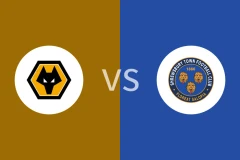 狼队vs什鲁斯伯里回放录像 2026/01/10