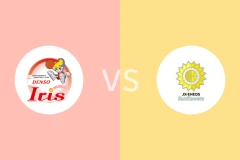 电装小仙女女篮vs日本能源太阳花女篮比分预测分析 2025/12/27