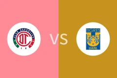 托卢卡vs老虎大学比分预测分析 2025/12/15