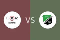 乐范格尔vs侯尼霍斯比分预测分析 2025/07/19