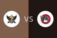 石家庄英励女篮vs武汉盛帆黄鹤女篮回放录像 2025/12/07