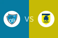 VFL维查尔vs杜伦比分预测分析 2025/09/14
