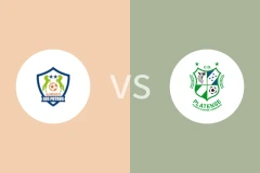 奥兰乔FCvs帕兰德森比分预测分析 2025/12/26