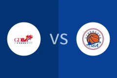 广东女篮vs辽宁女篮回放录像 2025/11/14