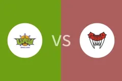 北海道风神vs富山松鸡比分预测分析 2025/12/14