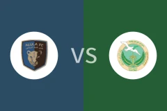 阿尔乌拉vs萨拉姆比分预测分析 2025/12/19