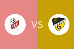 瓦亚科斯基vs洪卡比分预测分析 2025/07/02